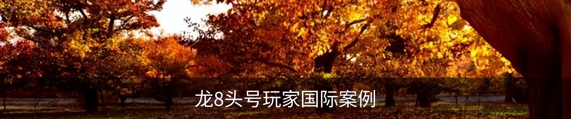龙8头号玩家国际案例